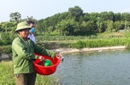 Thái Nguyên: 2.100 lượt hộ hội viên nông dân được Quỹ Hỗ trợ nông dân "tiếp sức"