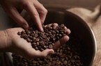 Giá nông sản hôm nay 29/8: Cà phê lên đỉnh trong 4 năm; hồ tiêu giảm nhẹ
