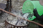 Chồng chất khó khăn, Thủy sản Mekong (AAM) tiếp tục báo lỗ hơn 3 tỷ trong quý II