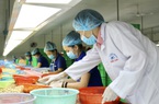 Tại sao AFI Mỹ kiến nghị Chính phủ ưu tiên phân phối vaccine cho công nhân ngành điều Việt Nam?