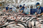 Khó khăn liên hoàn, ngành thủy sản có nguy cơ mất thị trường xuất khẩu?