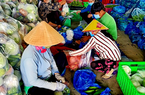Rau, củ Long An đột ngột đứt gãy thị trường TP.HCM