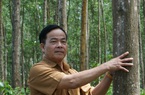 TT-Huế: WWF-Việt Nam viện trợ gần 5 tỷ giúp người dân, doanh nghiệp quản lý rừng bền vững 