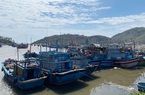 Quảng Ngãi:
Dừng hoạt động tất cả các cảng, bến cá để chống dịch Covid-19
