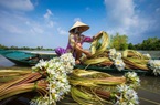 Nao lòng trước vẻ đẹp của mùa nước nổi An Giang