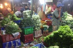 Dịch Covid-19 đang tác động mạnh đến giá nhiều loại rau củ