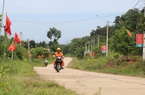 Đắk Nông: "Mặc áo hoa" cho những con đường biên giới
