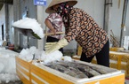 Nam Định: Vì sao thủy sản đánh bắt được khó truy xuất nguồn gốc, chủ yếu xuất khẩu đường tiểu ngạch?