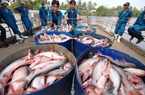 Mexico trở thành thị trường xuất khẩu cá tra lớn nhất của Việt Nam tại Mỹ Latinh