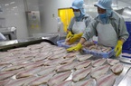 Ông Trương Đình Hòe: Xuất khẩu cá tra sẽ đạt 1,7 tỷ USD năm 2022