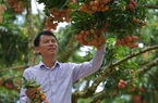 Ùn ứ nông sản tại biên giới Trung Quốc: Bài học chính quyền đồng hành, đa dạng hóa thị trường nhìn từ Bắc Giang