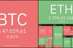 Giá Bitcoin hôm nay 3/1: Bitcoin ổn định