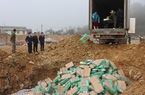 Chặn bắt "nóng" xe chở 14 tấn lưỡi bò được tuồn từ bên kia biên giới vào Việt Nam