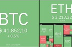 Giá Bitcoin hôm nay 8/11: Bitcoin cắm đầu lao dốc, thị trường ảm đạm