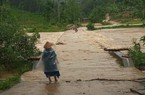 Hàng trăm hecta hoa màu, cây trồng của nông dân Bình Định bị ngập, đổ ngã do mưa lũ