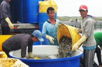 Bộ trưởng Lê Minh Hoan: Đóng góp kim ngạch xuất khẩu lớn nhưng ngành thủy sản không nên tự mãn