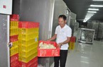 Nông dân Việt Nam xuất sắc 2022 ở Hà Nội nuôi gà bằng công nghệ mới thu về 50 tỷ đồng/năm