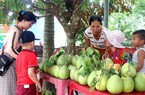 Quảng Nam: Nông Sơn phát triển sản phẩm OCOP theo chuỗi giá trị