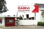 CADIVI (CAV): Chốt ngày tạm ứng cổ tức đợt 1 năm 2022 bằng tiền 20%