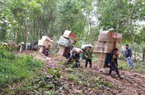 Gian nan cuộc chiến chống hàng giả trên biên giới