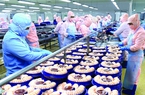 Vượt Mỹ, Trung Quốc trở thành thị trường mua nhiều nhất một loài thủy sản của Việt Nam