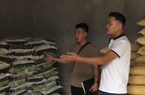 Clip: Ngăn chặn hàng giả, hàng kém chất lượng giúp nông dân Lai Châu yên tâm sản xuất