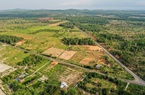 Đất nền khắp nơi hạ nhiệt