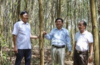 Đại diện siêu thị lớn nhất nhì Việt Nam chỉ ra điều kiện để việc làm ăn với hợp tác xã luôn bền chặt