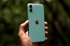 iPhone 11 giảm giá kịch sàn, chỉ còn hơn 10 triệu đồng