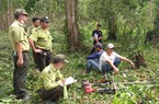 Tổ công tác đặc biệt tỉnh Kiên Giang bắt quả tang 2 đối tượng đang phá rừng đặc dụng Phú Quốc
