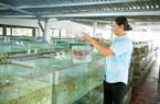 TP.HCM đẩy mạnh hỗ trợ HTX xuất khẩu nông lâm thủy sản