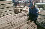 Mỹ, Trung Quốc, Nhật Bản tăng tốc thu gom, 7 loại nông sản của Việt Nam đua nhau tăng giá