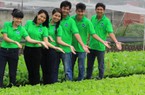 Doanh nghiệp trồng rau mầm hữu cơ nỗ lực đưa sản phẩm đạt OCOP