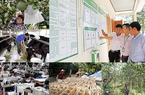 Ngân hàng Chính sách xã hội với hành trình 20 năm làm tín dụng chính sách bằng cả trái tim