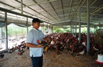 Về Gò Công nghe kể chuyện con gà tre Dương Thanh Bình giúp dân thoát nghèo