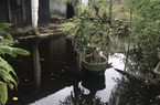 Dự án 215 tỷ ở TT-Huế gây ngập úng nghiêm trọng: Yêu cầu chủ đầu tư khẩn trương khắc phục