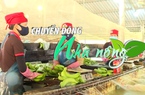 Chuyển động Nhà nông 1/11: Ký Nghị định thư về xuất khẩu quả chuối tươi từ Việt Nam sang Trung Quốc
