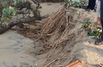 Triều cường xâm thực gây thiệt hại nặng tại Phú Yên