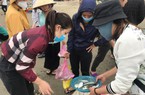 Hải sản cực phẩm, nhà giàu xuýt xoa khen ngon ở vùng biển này của Nghệ An thật bất ngờ khi nhìn thấy