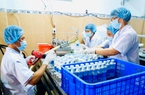 Nghị quyết 10 - quyết sách chiến lược giúp nông nghiệp TP.HCM bứt phá