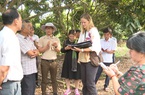 Kiểm tra vùng trồng nhãn xuất khẩu sang thị trường Hoa Kỳ