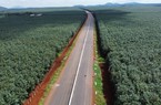 Bất ngờ hình hài cao tốc Dầu Giây - Phan Thiết 12.500 tỷ đồng xuyên qua rừng xanh