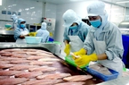 Mỹ, Nhật Bản, Trung Quốc mua lượng tôm, cá khổng lồ, Việt Nam lập 3 kỷ lục chưa từng có