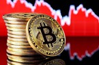 Giá Bitcoin hôm nay 19/11: Bitcoin quay đầu giảm, 72/100 đồng tiền hàng đầu giảm giá trong 24h