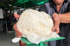 Ngư dân TT-Huế vô tình vớt được vật nặng 3kg thơm kỳ lạ nghi là long diên hương tiền tỷ