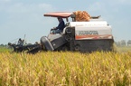Kinh doanh bị đình trệ, AGM xin lùi thời hạn thanh toán lãi trái phiếu