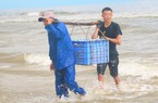 Dân Hà Tĩnh trúng luồng cá hố lớn, đụng đám con ruốc khổng lồ, khênh mệt bở hơi tai, cầm tiền vui