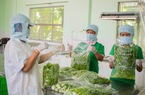 Nông dân Bình Định trồng rau "siêu sạch" nhờ áp dụng tiêu chuẩn VietGAP