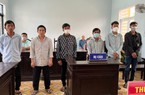 Phú Quốc: 6 đối tượng phá rừng phòng hộ bị tuyên án 43 năm tù giam