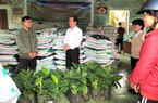 Nông dân thâm canh chuối lùn ở TT-Huế được hỗ trợ hàng trăm triệu đồng